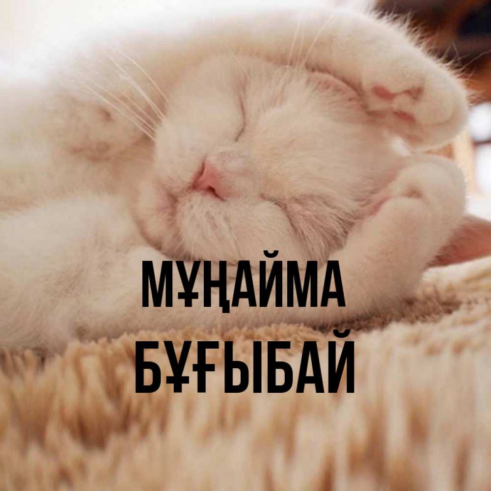 Күн сайын ашық хат с именем, Бұғыбай Мұңайма Котенок спит Онлайн тегін жүктеп алу тілектері бар керемет карта 