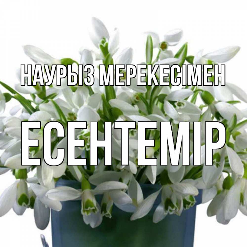 Күн сайын ашық хат с именем, Есентемір Наурыз мерекесімен цветы к наурызу новый год в Казахстане Онлайн тегін жүктеп алу тілектері бар керемет карта 