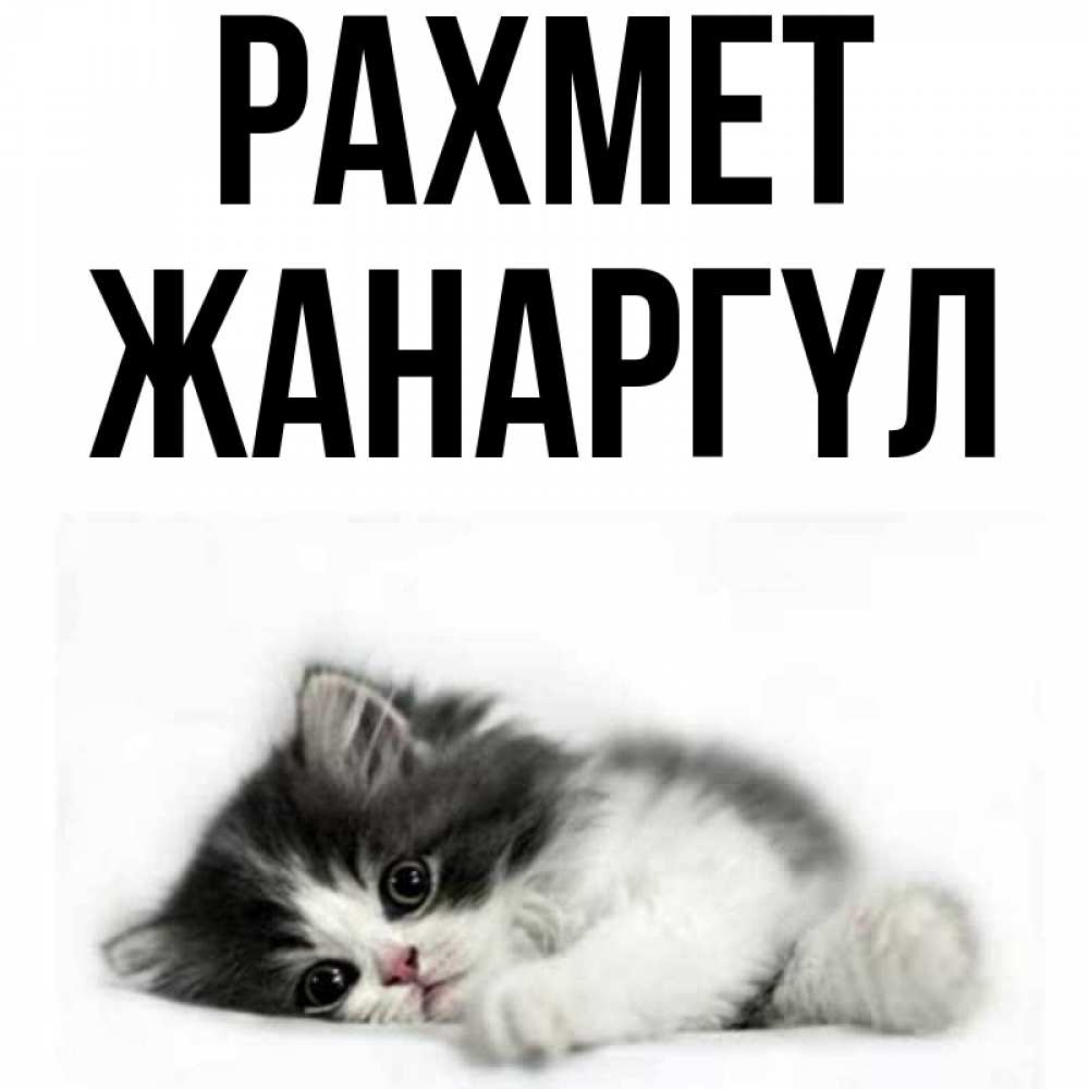Күн сайын ашық хат с именем, ЖАНАРГҮЛ рахмет черный и белый кот Онлайн тегін жүктеп алу тілектері бар керемет карта 