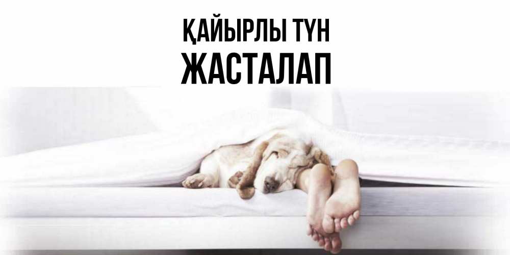 Күн сайын ашық хат с именем, Жасталап Қайырлы түн кровать с собакой пожелание сладких снов и спокойной ночи Онлайн тегін жүктеп алу тілектері бар керемет карта 