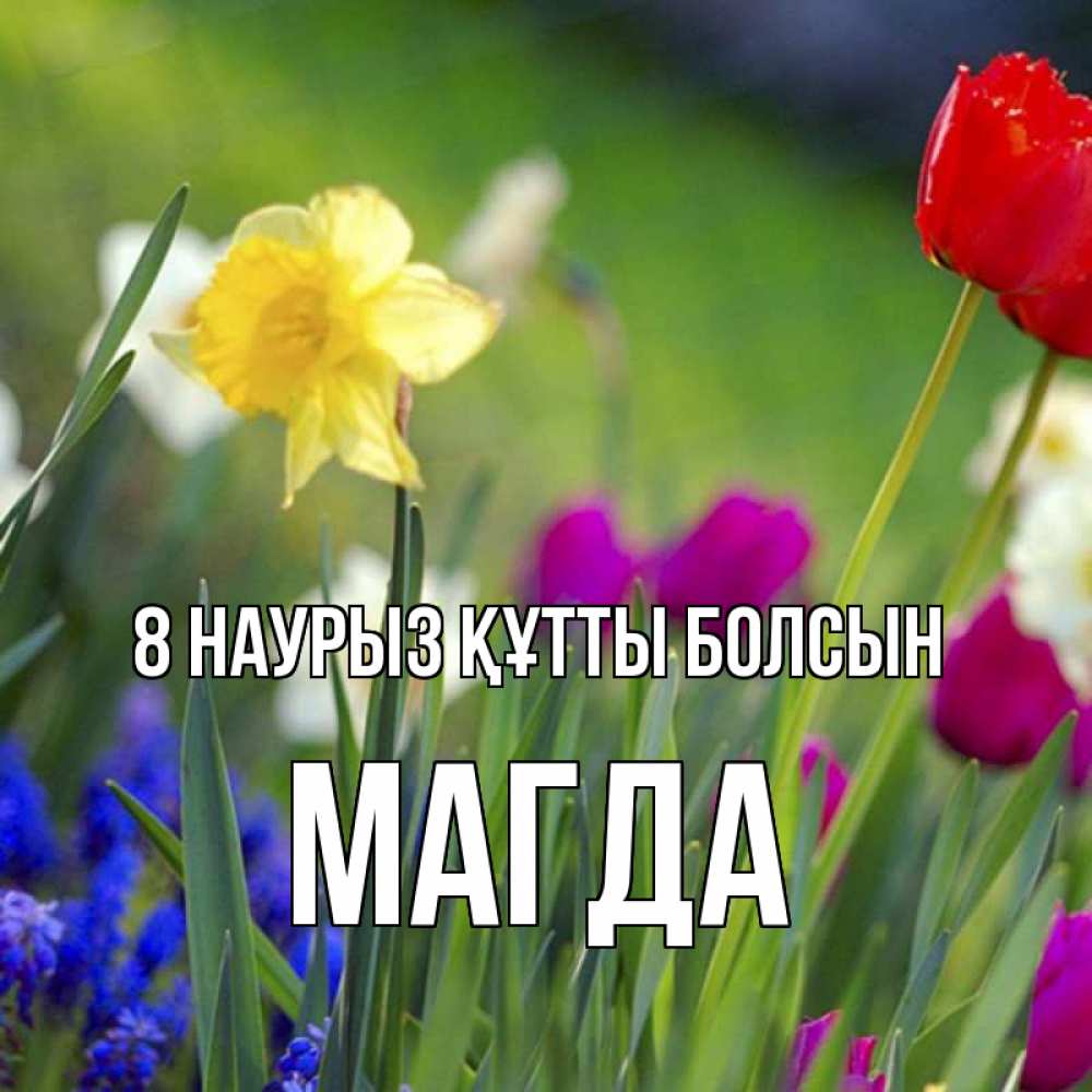 Күн сайын ашық хат с именем, Магда 8 наурыз құтты болсын международный женский день 3 Онлайн тегін жүктеп алу тілектері бар керемет карта 