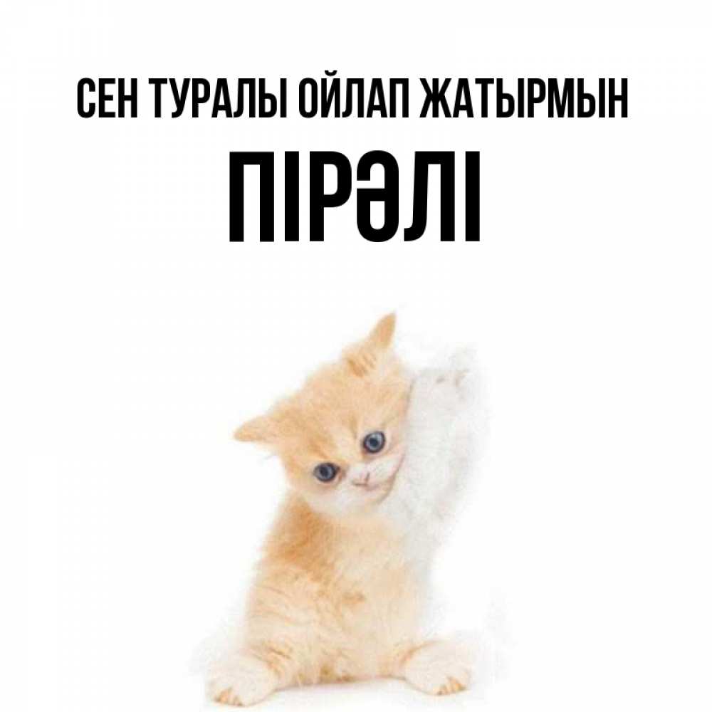 Күн сайын ашық хат с именем, ПІРӘЛІ Сен туралы ойлап жатырмын зверушки и милота Онлайн тегін жүктеп алу тілектері бар керемет карта 