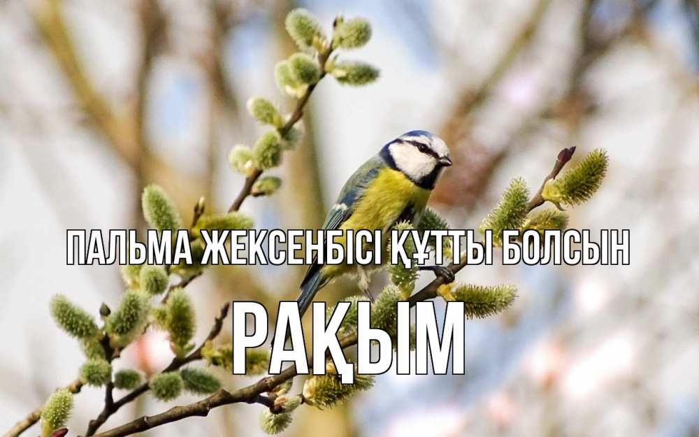 Күн сайын ашық хат с именем, РАҚЫМ Пальма жексенбісі құтты болсын верба Онлайн тегін жүктеп алу тілектері бар керемет карта 