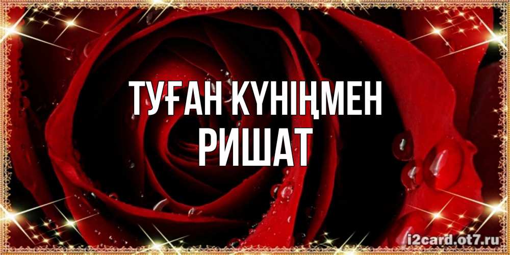 Күн сайын ашық хат с именем, РИШАТ Туған күніңмен цветок в росе на день рождения Онлайн тегін жүктеп алу тілектері бар керемет карта 