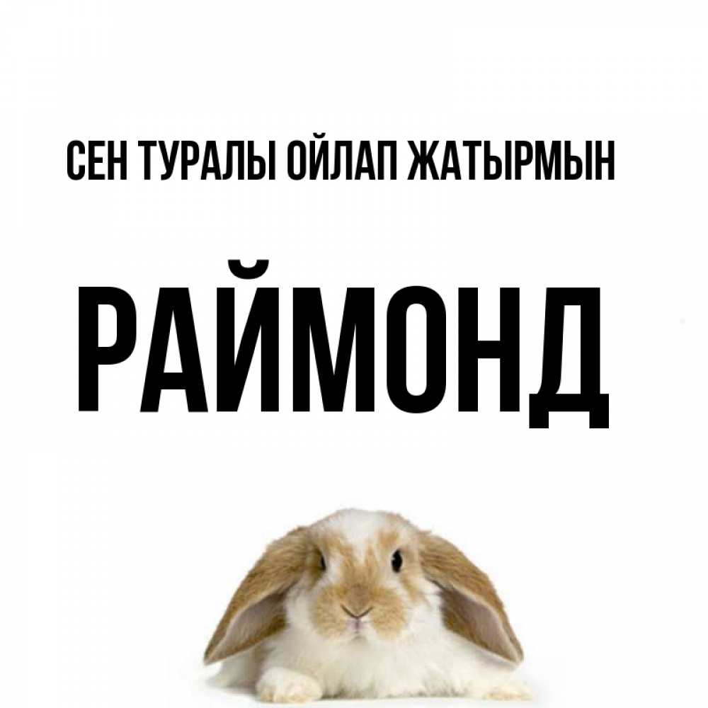 Күн сайын ашық хат с именем, Раймонд Сен туралы ойлап жатырмын подписать своими руками онлайн Онлайн тегін жүктеп алу тілектері бар керемет карта 