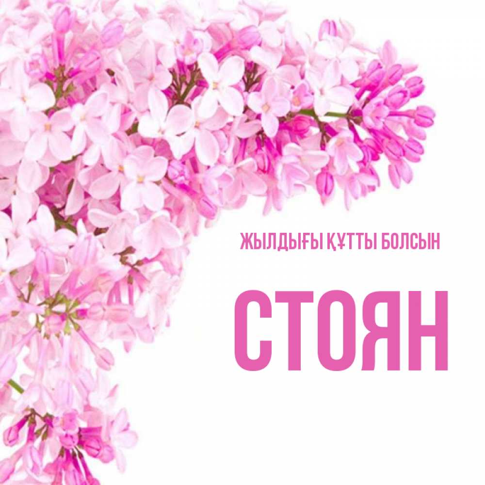 Күн сайын ашық хат с именем, Стоян Жылдығы құтты болсын Сирень на белом фоне Онлайн тегін жүктеп алу тілектері бар керемет карта 