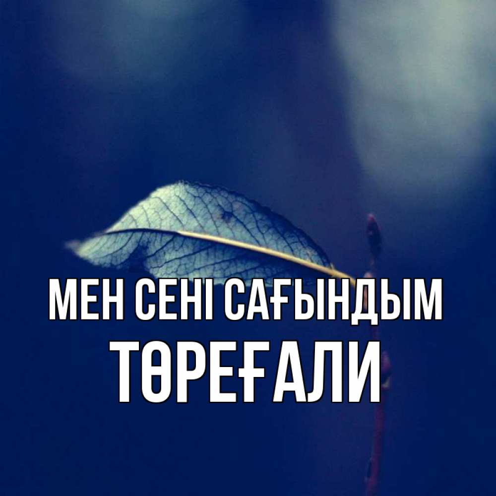 Күн сайын ашық хат с именем, Төреғали Мен сені сағындым одна ветка 1 Онлайн тегін жүктеп алу тілектері бар керемет карта 