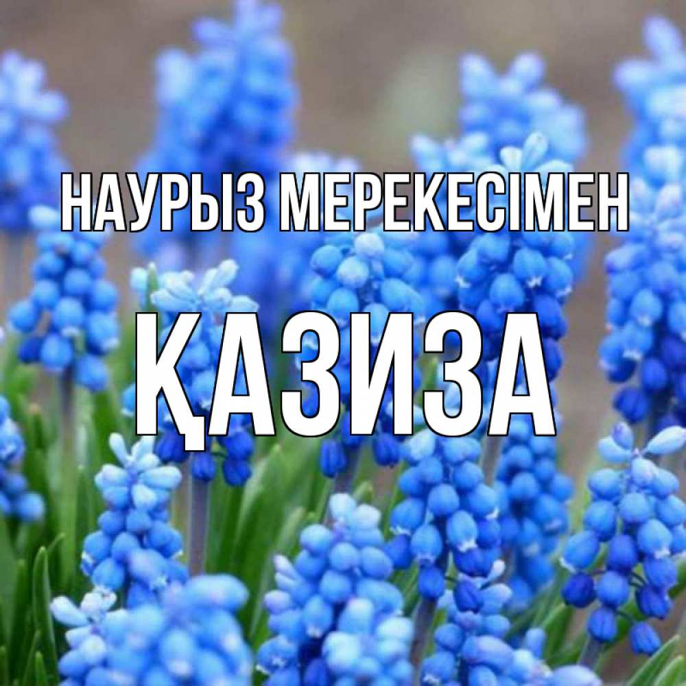 Күн сайын ашық хат с именем, ҚАЗИЗА Наурыз мерекесімен Поздравительная открытка для женщин с цветами на праздничную дату Онлайн тегін жүктеп алу тілектері бар керемет карта 