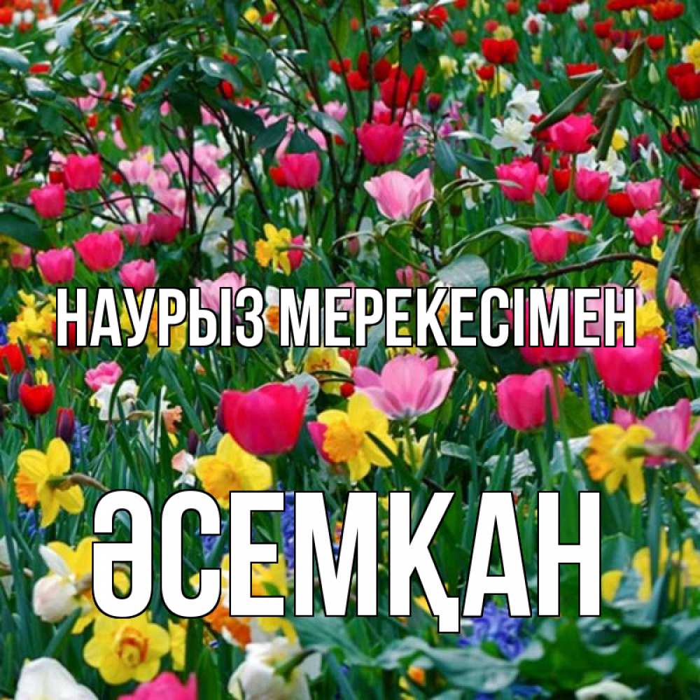 Күн сайын ашық хат с именем, ӘСЕМҚАН Наурыз мерекесімен с наурызом праздником весны поздравления для женщины Онлайн тегін жүктеп алу тілектері бар керемет карта 