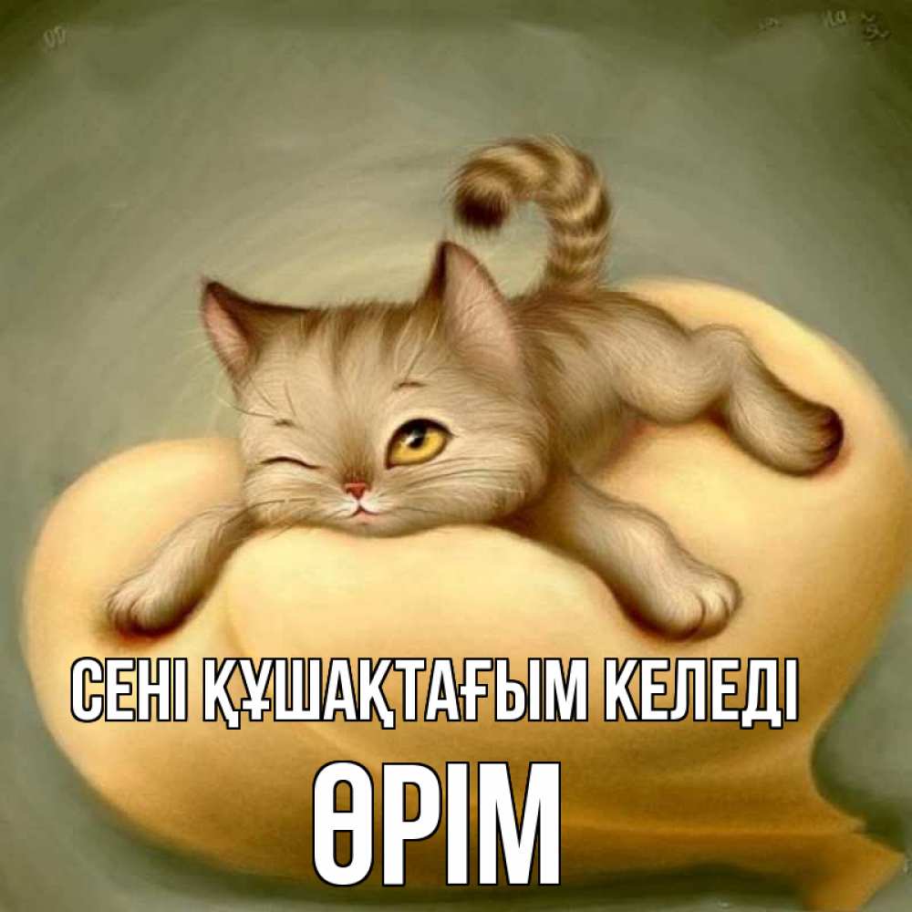 Күн сайын ашық хат с именем, ӨРІМ сені құшақтағым келеді кошечка Онлайн тегін жүктеп алу тілектері бар керемет карта 