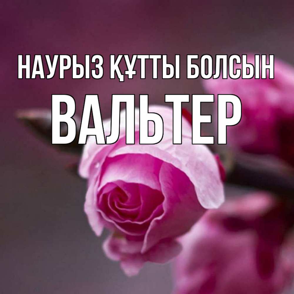 Күн сайын ашық хат с именем, Вальтер Наурыз құтты болсын весна Онлайн тегін жүктеп алу тілектері бар керемет карта 