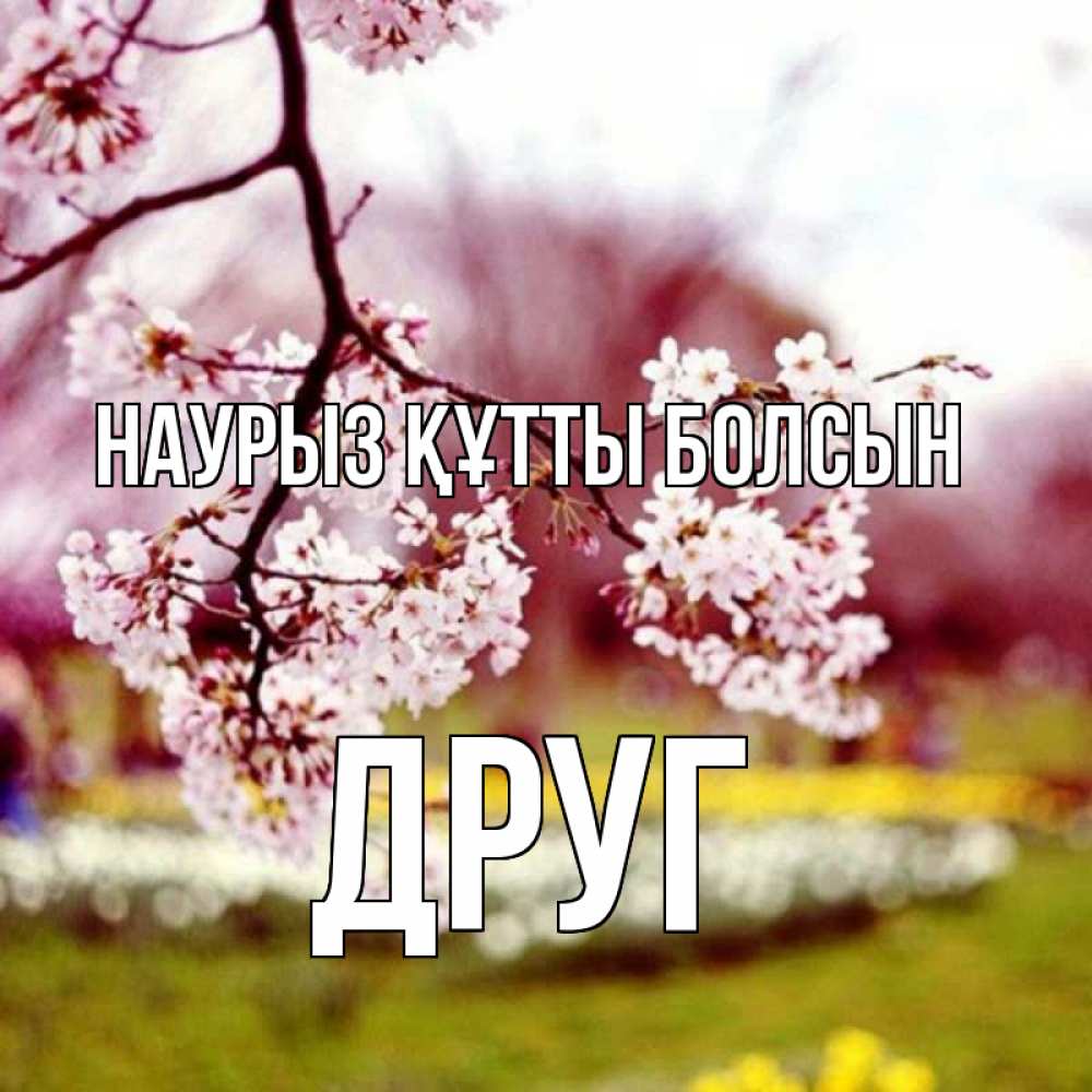 Күн сайын ашық хат с именем, Друг Наурыз құтты болсын яблоня Онлайн тегін жүктеп алу тілектері бар керемет карта 