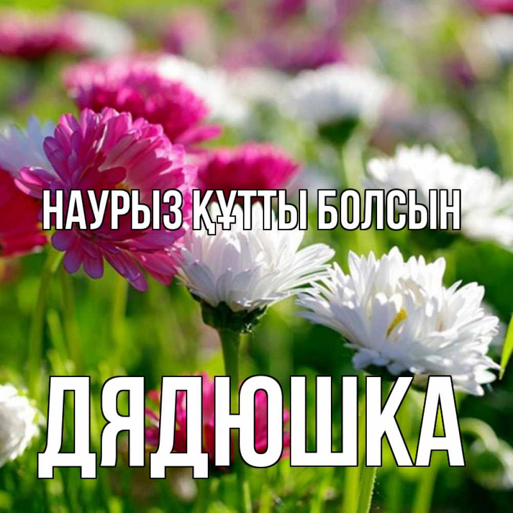 Күн сайын ашық хат с именем, Дядюшка Наурыз құтты болсын наурыз Онлайн тегін жүктеп алу тілектері бар керемет карта 