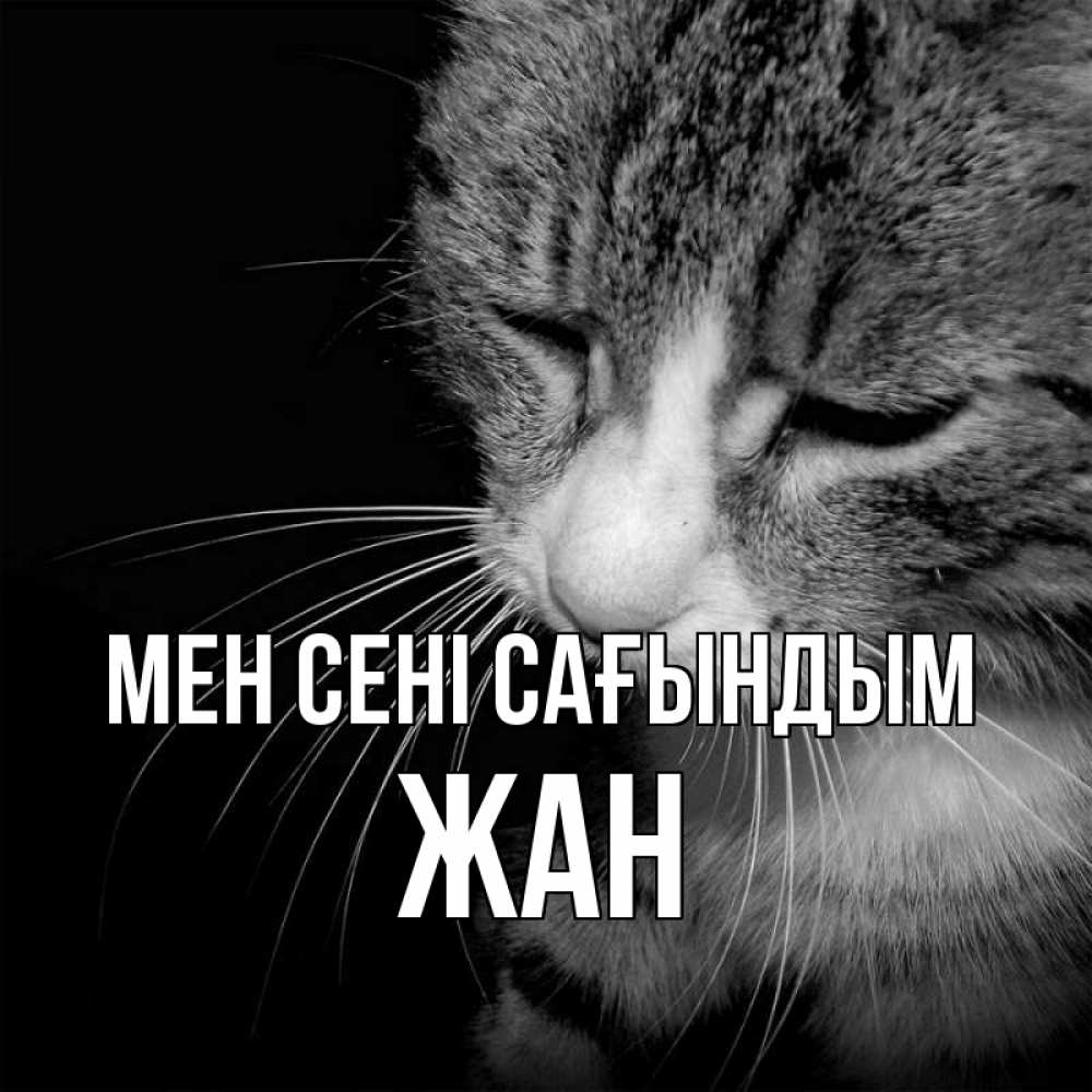 Күн сайын ашық хат с именем, Жан Мен сені сағындым мне скучно Онлайн тегін жүктеп алу тілектері бар керемет карта 