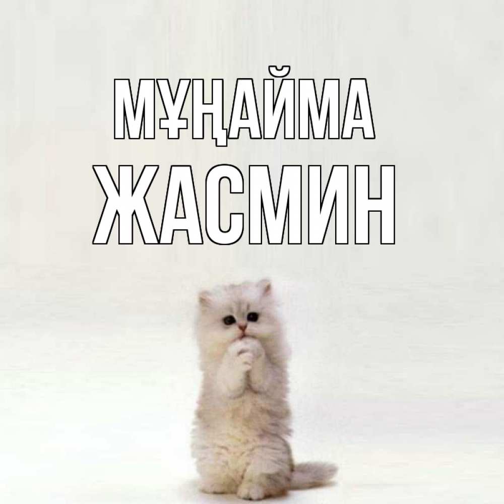 Күн сайын ашық хат с именем, Жасмин Мұңайма грустный кот Онлайн тегін жүктеп алу тілектері бар керемет карта 