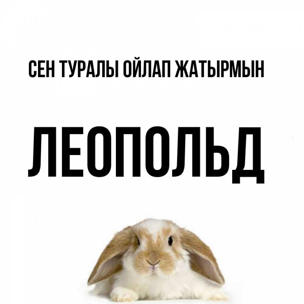 Күн сайын ашық хат с именем, Леопольд Сен туралы ойлап жатырмын подписать своими руками онлайн Онлайн тегін жүктеп алу тілектері бар керемет карта 
