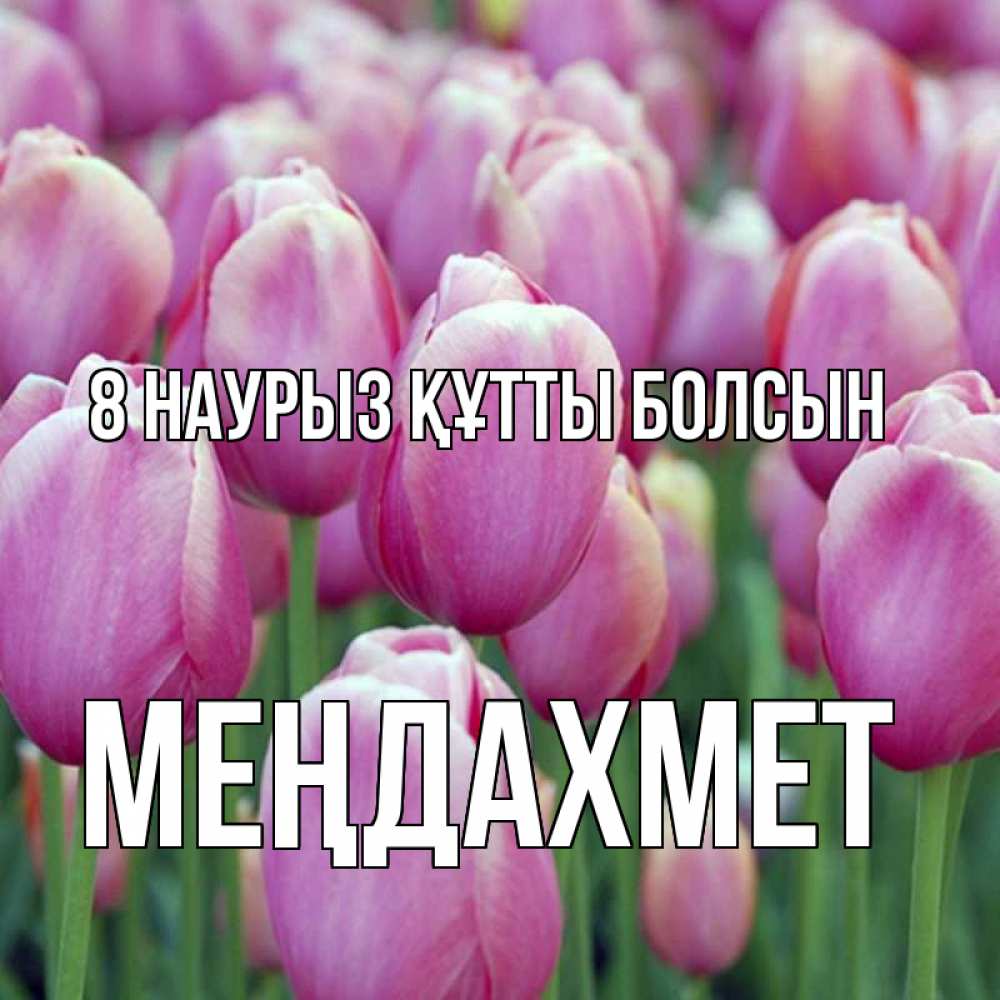 Күн сайын ашық хат с именем, МЕҢДАХМЕТ 8 наурыз құтты болсын на международный женский день 3 Онлайн тегін жүктеп алу тілектері бар керемет карта 