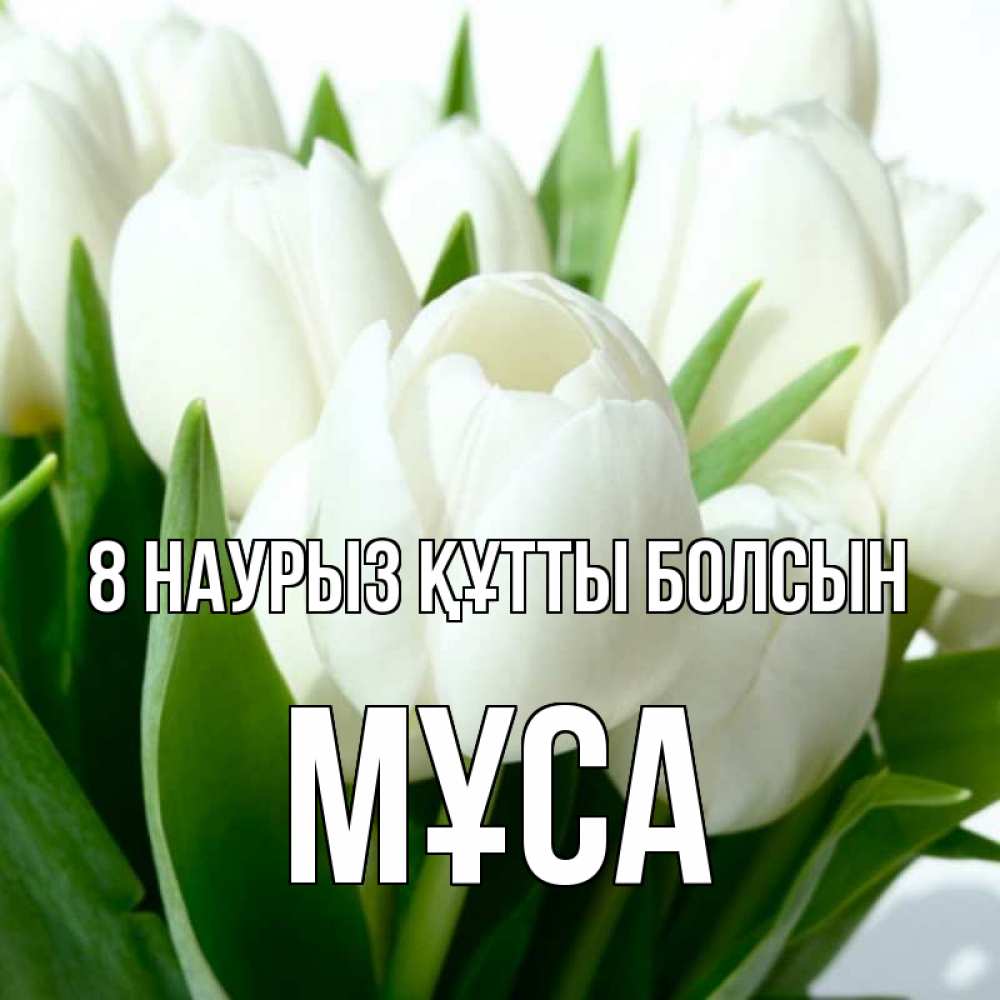 Күн сайын ашық хат с именем, МҰСА 8 наурыз құтты болсын цветы Онлайн тегін жүктеп алу тілектері бар керемет карта 