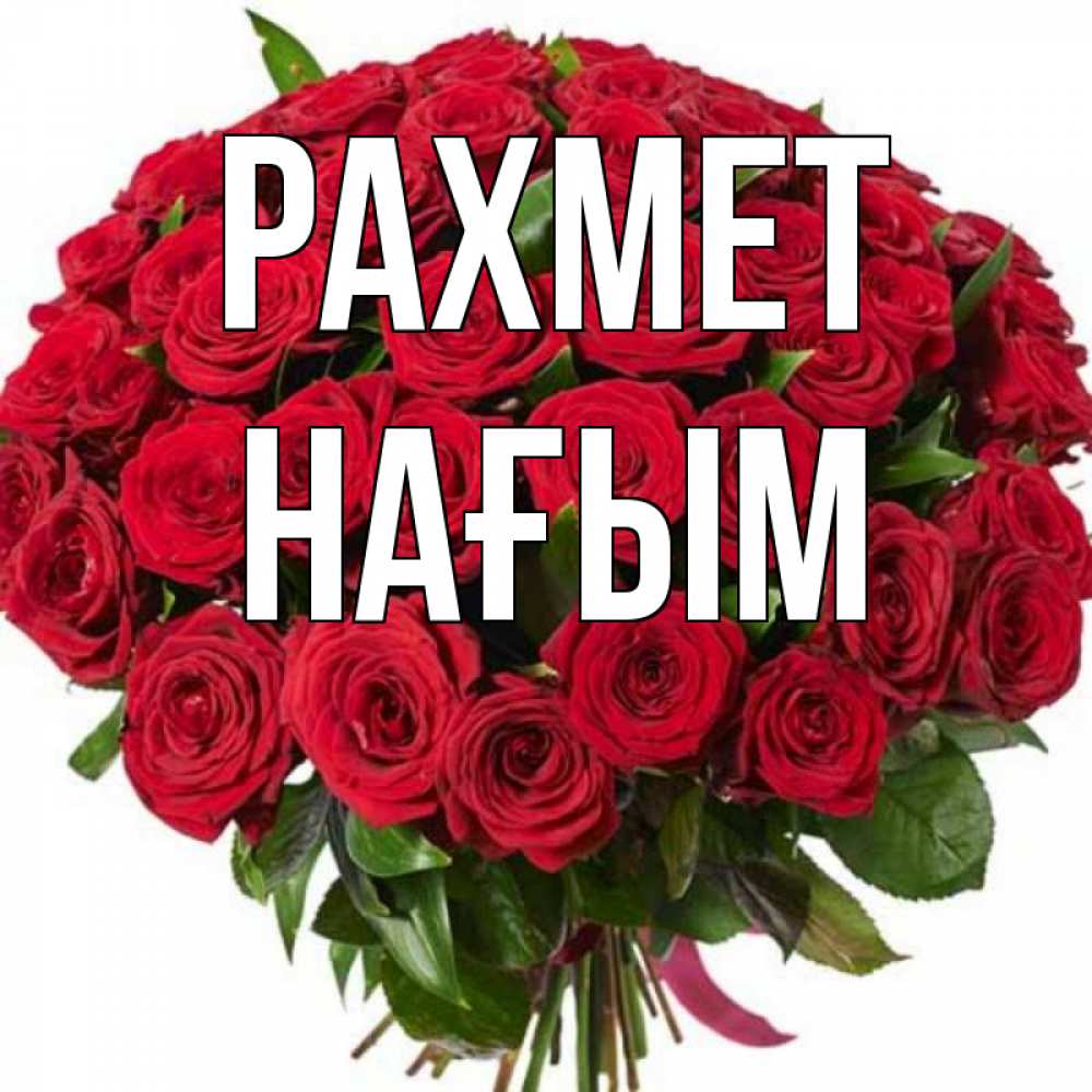 Күн сайын ашық хат с именем, НАҒЫМ рахмет букет красных роз Онлайн тегін жүктеп алу тілектері бар керемет карта 