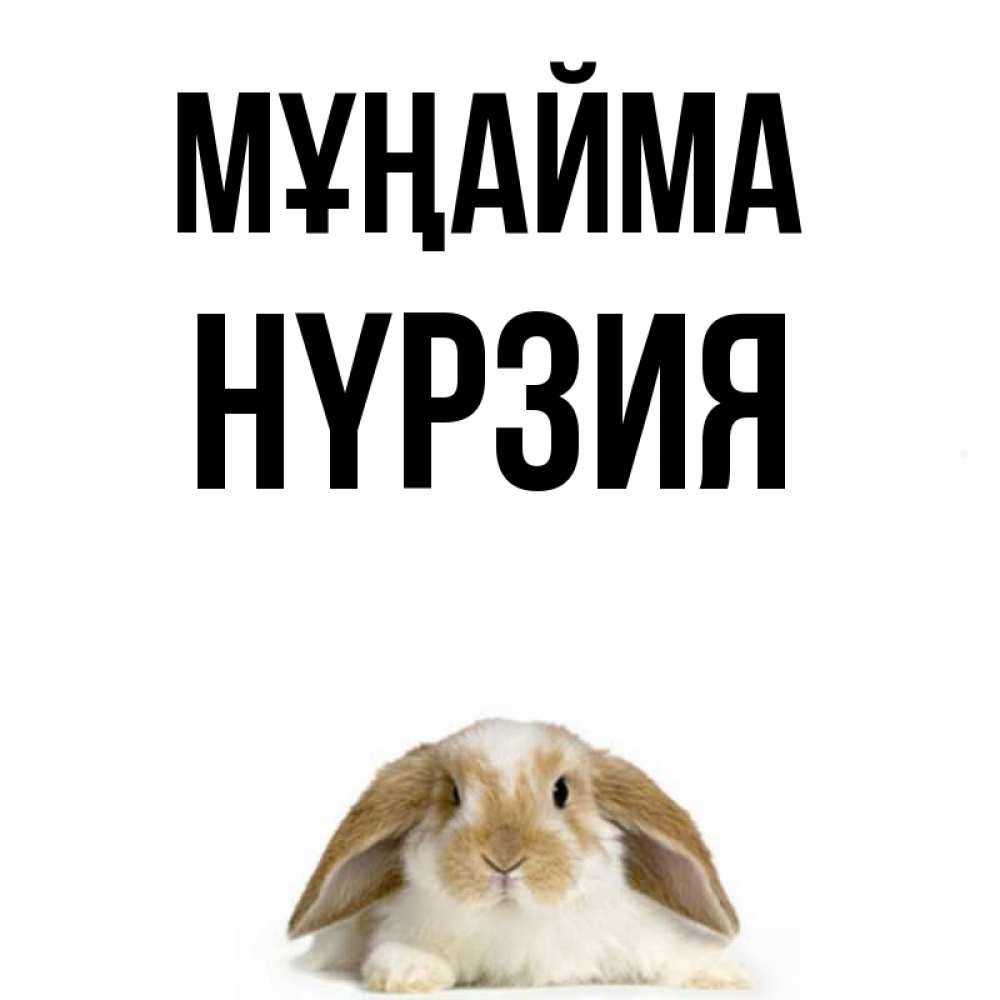 Күн сайын ашық хат с именем, НҮРЗИЯ Мұңайма коричнево белый заяц с большими ушками Онлайн тегін жүктеп алу тілектері бар керемет карта 