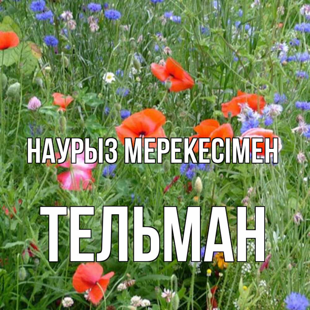 Күн сайын ашық хат с именем, Тельман Наурыз мерекесімен праздник весны наурыз супер открытка Онлайн тегін жүктеп алу тілектері бар керемет карта 