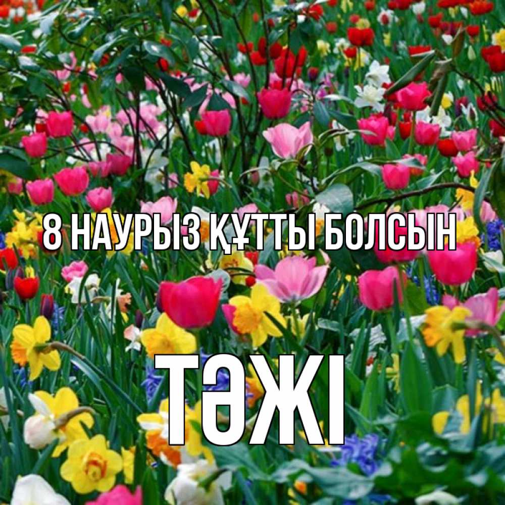 Күн сайын ашық хат с именем, ТӘЖІ 8 наурыз құтты болсын с международным женским днем поздравления для женщины Онлайн тегін жүктеп алу тілектері бар керемет карта 