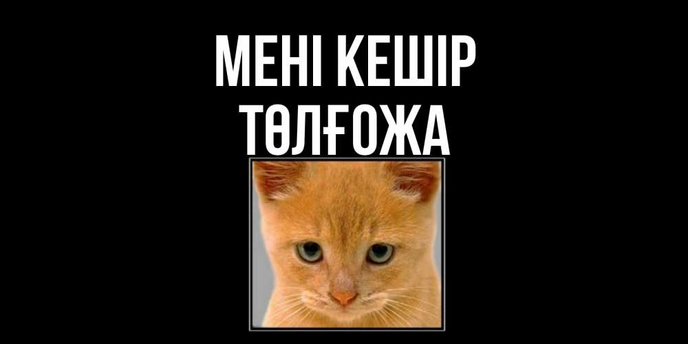 Күн сайын ашық хат с именем, ТӨЛҒОЖА Мені кешір рыжий грустный кот просит прощения Онлайн тегін жүктеп алу тілектері бар керемет карта 