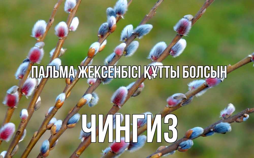 Күн сайын ашық хат с именем, Чингиз Пальма жексенбісі құтты болсын верба Онлайн тегін жүктеп алу тілектері бар керемет карта 