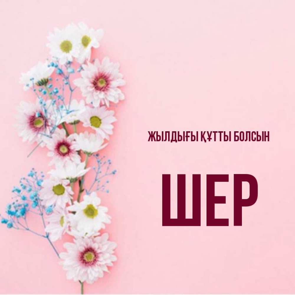 Күн сайын ашық хат с именем, ШЕР Жылдығы құтты болсын Родная моя с днем рождения тебя картинка с цветами белыми и голубыми Онлайн тегін жүктеп алу тілектері бар керемет карта 