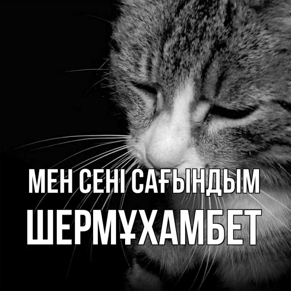 Күн сайын ашық хат с именем, ШЕРМҰХАМБЕТ Мен сені сағындым мне скучно Онлайн тегін жүктеп алу тілектері бар керемет карта 