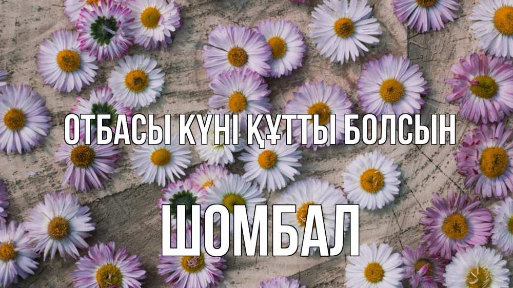 Күн сайын ашық хат с именем, ШОМБАЛ отбасы күні құтты болсын с днем семьи Онлайн тегін жүктеп алу тілектері бар керемет карта 