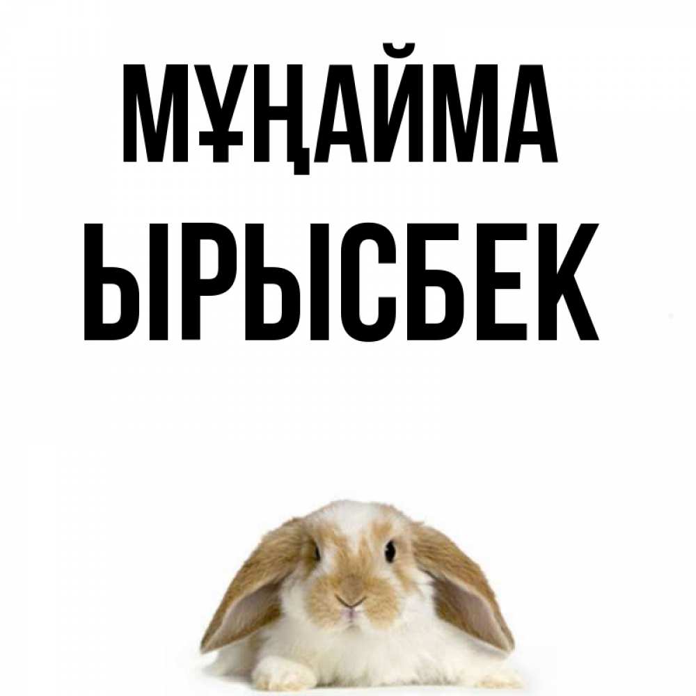 Күн сайын ашық хат с именем, ЫРЫСБЕК Мұңайма коричнево белый заяц с большими ушками Онлайн тегін жүктеп алу тілектері бар керемет карта 