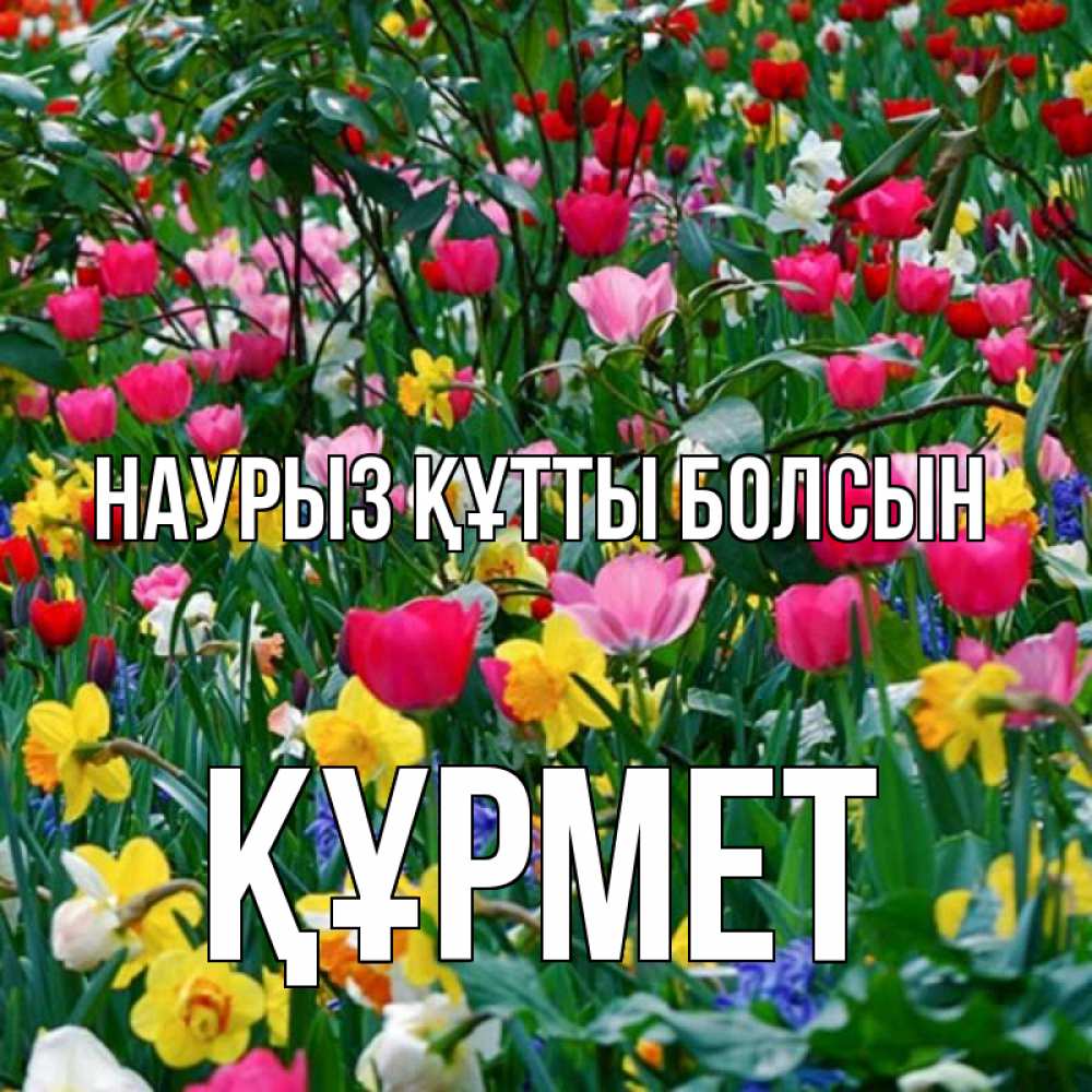 Күн сайын ашық хат с именем, ҚҰРМЕТ Наурыз құтты болсын с наурызом поздравления для женщины Онлайн тегін жүктеп алу тілектері бар керемет карта 