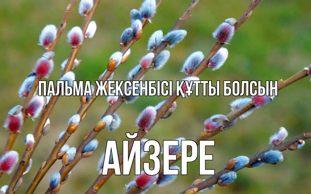 Күн сайын ашық хат с именем, АЙЗЕРЕ Пальма жексенбісі құтты болсын верба Онлайн тегін жүктеп алу тілектері бар керемет карта 