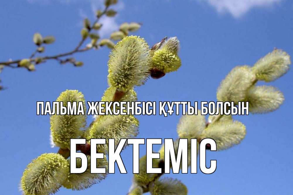 Күн сайын ашық хат с именем, Бектеміс Пальма жексенбісі құтты болсын верба Онлайн тегін жүктеп алу тілектері бар керемет карта 