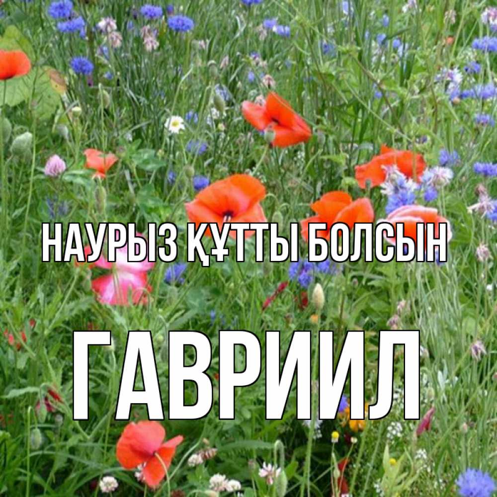 Күн сайын ашық хат с именем, Гавриил Наурыз құтты болсын наурыз  4 Онлайн тегін жүктеп алу тілектері бар керемет карта 