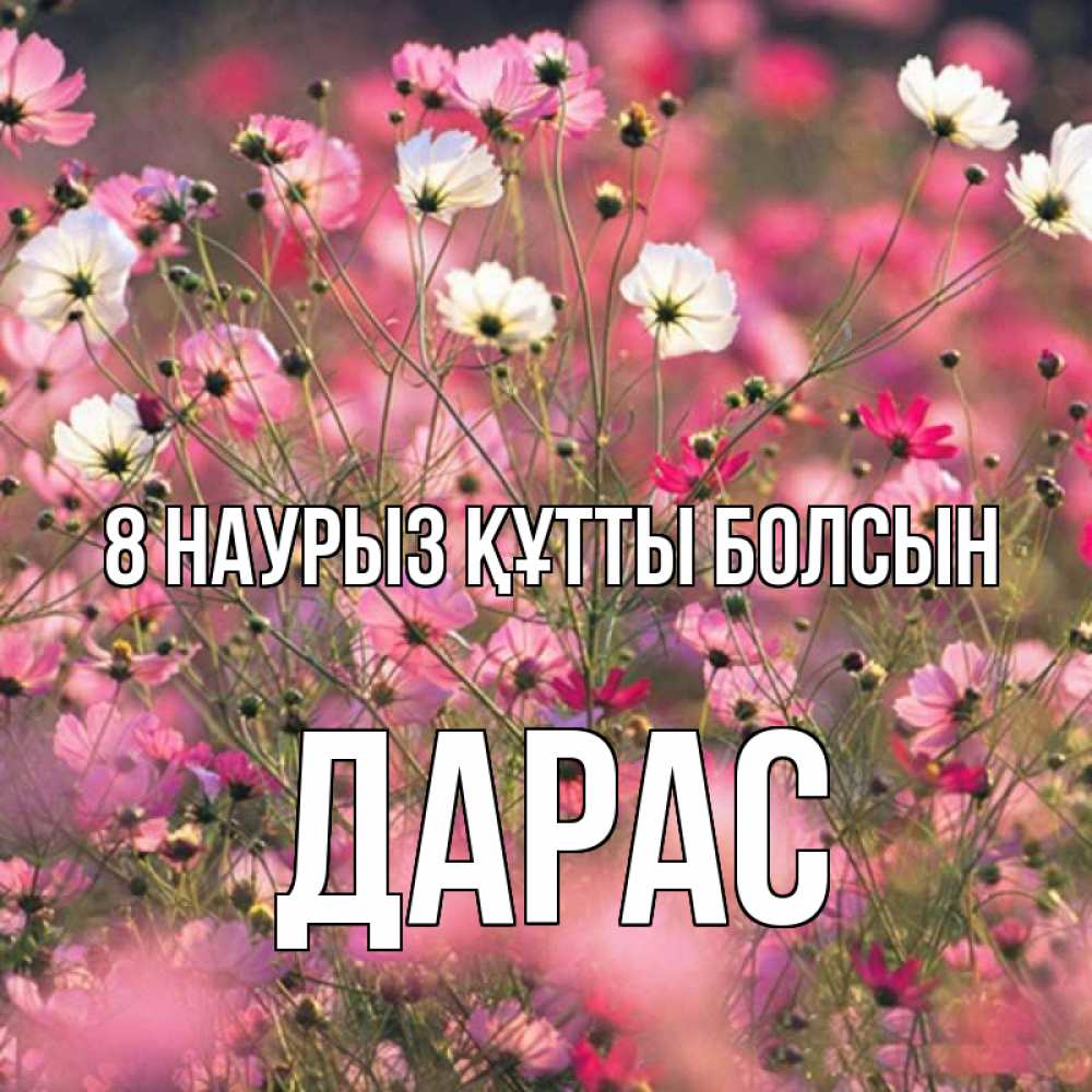Күн сайын ашық хат с именем, Дарас 8 наурыз құтты болсын красиво 1 Онлайн тегін жүктеп алу тілектері бар керемет карта 