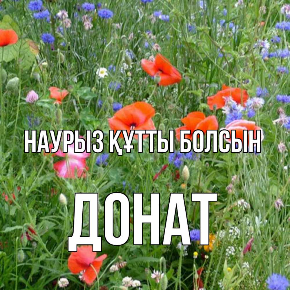 Күн сайын ашық хат с именем, Донат Наурыз құтты болсын наурыз  4 Онлайн тегін жүктеп алу тілектері бар керемет карта 