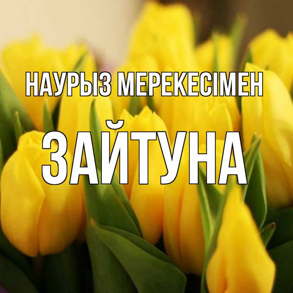 Күн сайын ашық хат с именем, ЗАЙТУНА Наурыз мерекесімен цветы Онлайн тегін жүктеп алу тілектері бар керемет карта 