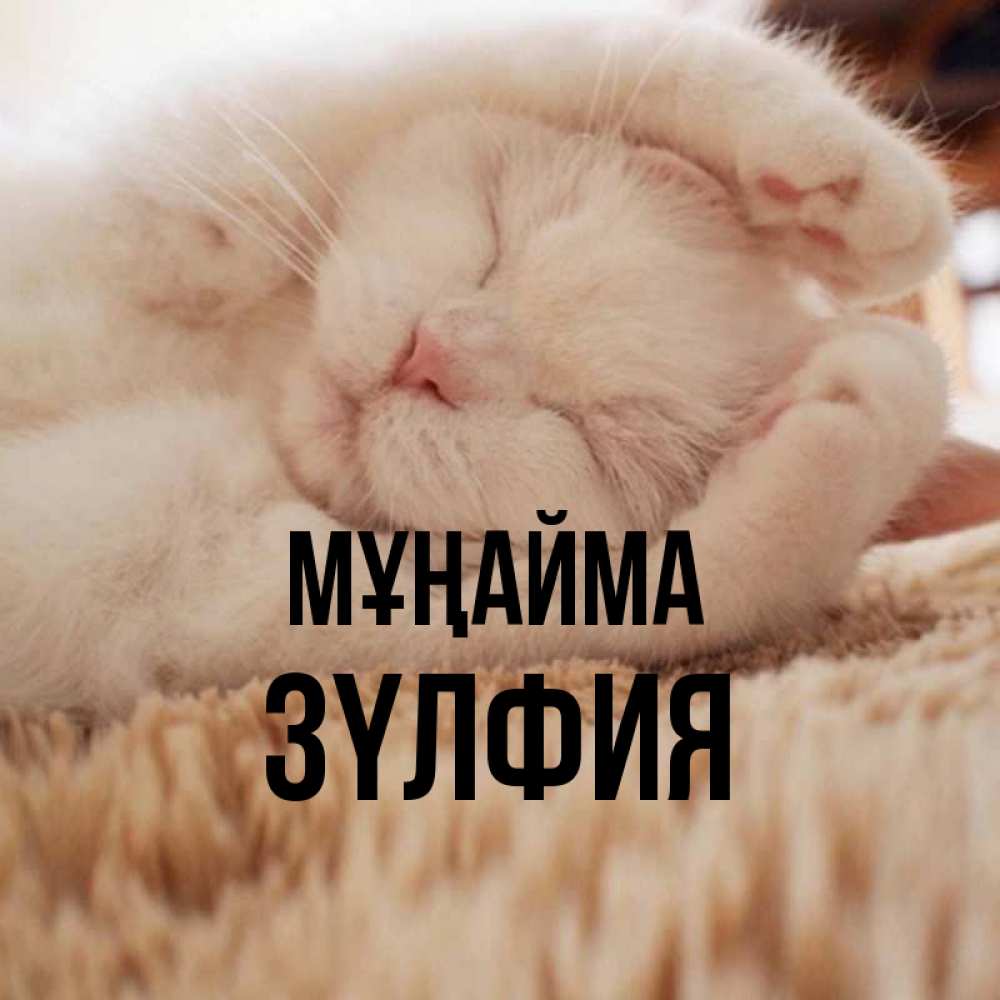 Күн сайын ашық хат с именем, ЗҮЛФИЯ Мұңайма Котенок спит Онлайн тегін жүктеп алу тілектері бар керемет карта 