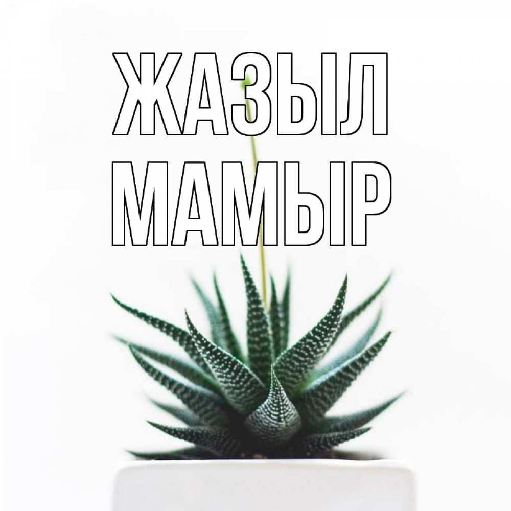 Күн сайын ашық хат с именем, МАМЫР Жазыл короче это непонятная колючка Онлайн тегін жүктеп алу тілектері бар керемет карта 