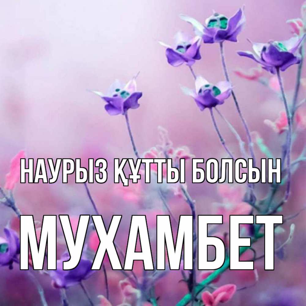 Күн сайын ашық хат с именем, МУХАМБЕТ Наурыз құтты болсын наурыз  2 Онлайн тегін жүктеп алу тілектері бар керемет карта 