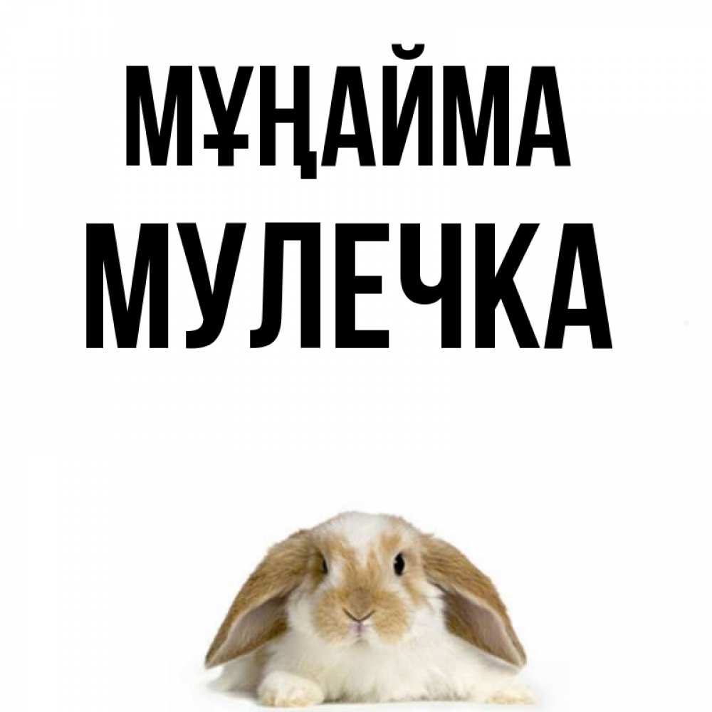 Күн сайын ашық хат с именем, Мулечка Мұңайма коричнево белый заяц с большими ушками Онлайн тегін жүктеп алу тілектері бар керемет карта 