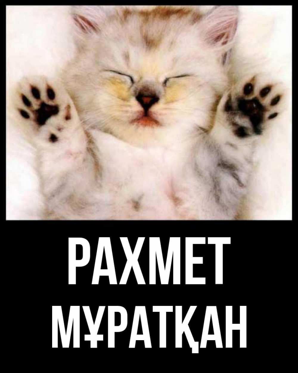 Күн сайын ашық хат с именем, Мұратқан рахмет маленький котенок Онлайн тегін жүктеп алу тілектері бар керемет карта 