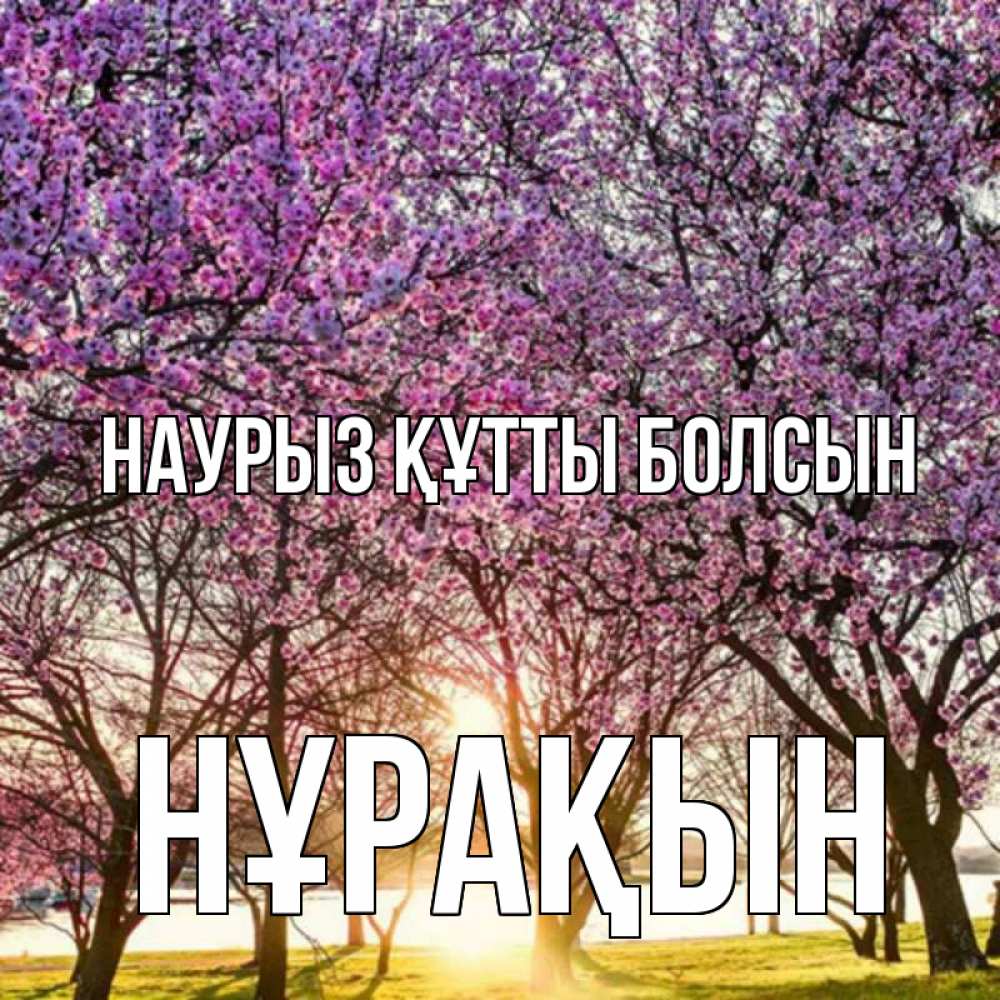 Күн сайын ашық хат с именем, НҰРАҚЫН Наурыз құтты болсын наурыз Онлайн тегін жүктеп алу тілектері бар керемет карта 