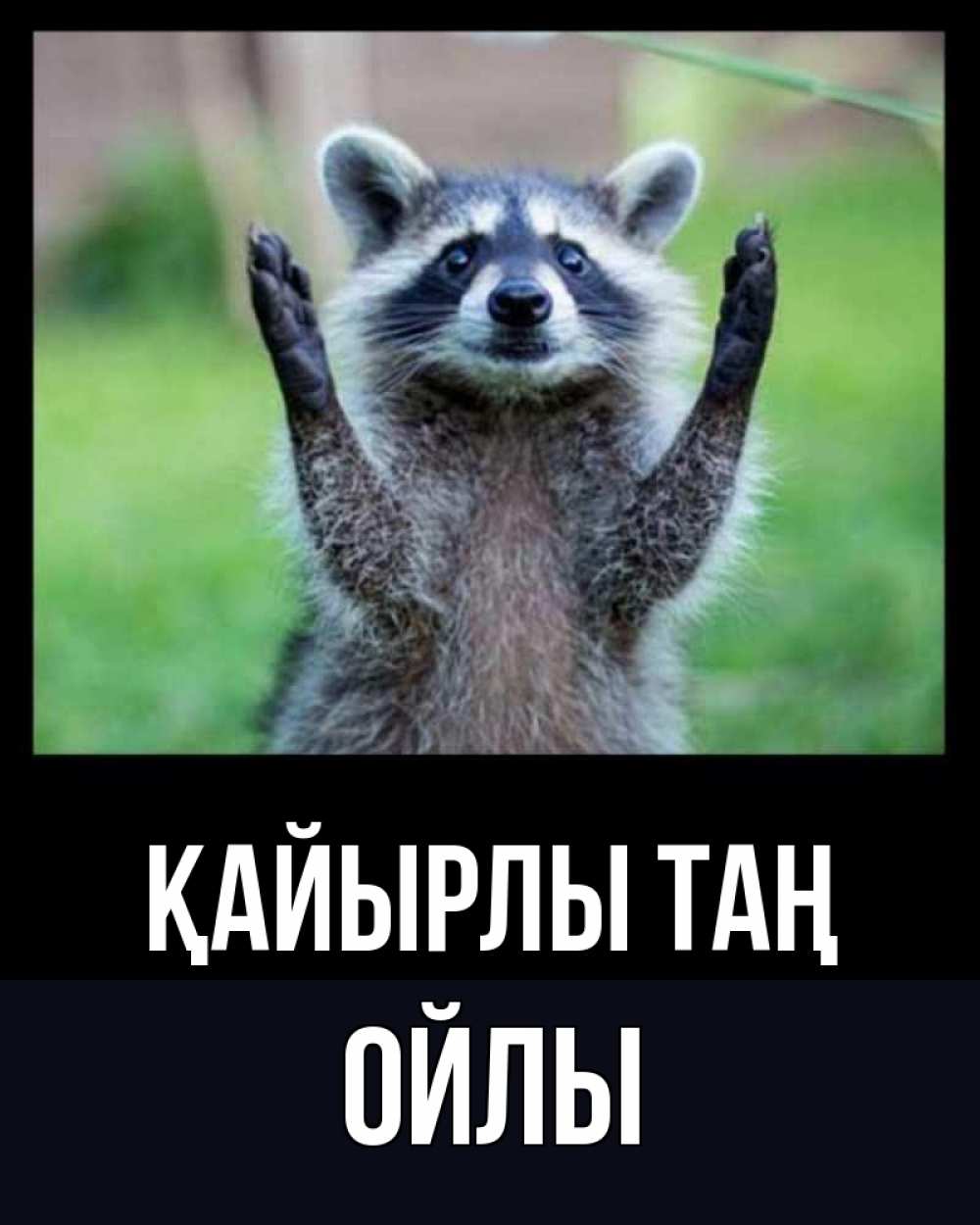 Күн сайын ашық хат с именем, ОЙЛЫ Қайырлы таң хорошее настроение утречком Онлайн тегін жүктеп алу тілектері бар керемет карта 