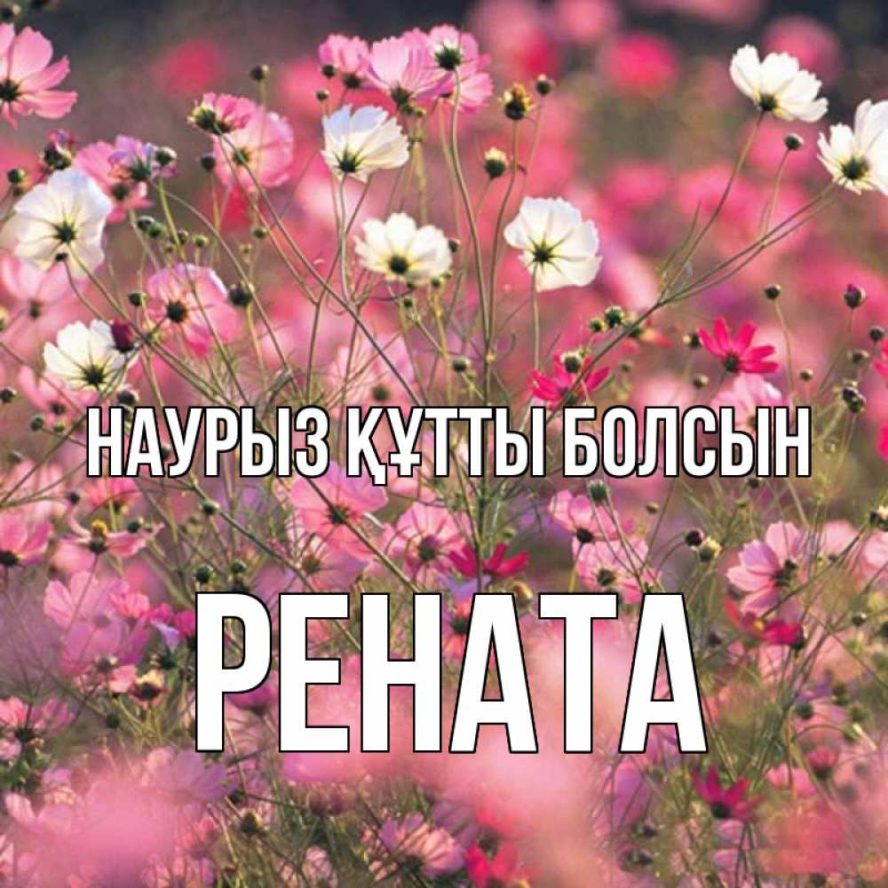 Күн сайын ашық хат с именем, Рената Наурыз құтты болсын красиво 1 Онлайн тегін жүктеп алу тілектері бар керемет карта 