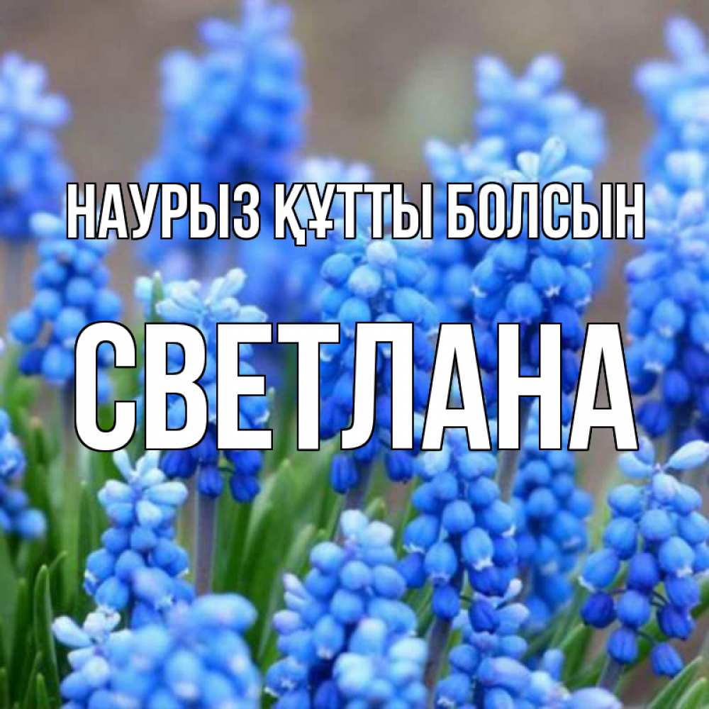 Күн сайын ашық хат с именем, Светлана Наурыз құтты болсын Поздравительная открытка для женщин с цветами на праздничную дату Онлайн тегін жүктеп алу тілектері бар керемет карта 