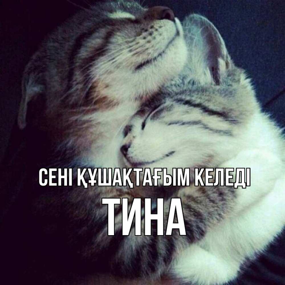 Күн сайын ашық хат с именем, Тина сені құшақтағым келеді полосатики Онлайн тегін жүктеп алу тілектері бар керемет карта 
