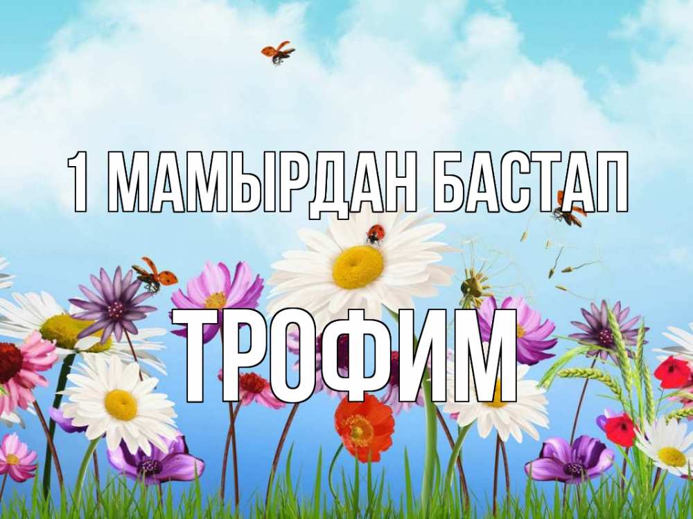 Күн сайын ашық хат с именем, Трофим 1 мамырдан бастап С 1 мая Онлайн тегін жүктеп алу тілектері бар керемет карта 